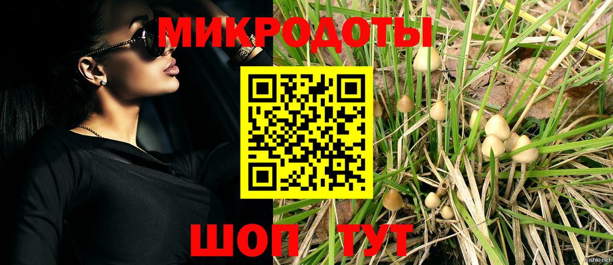 Псилоцибиновые грибы мицелий Зерноград