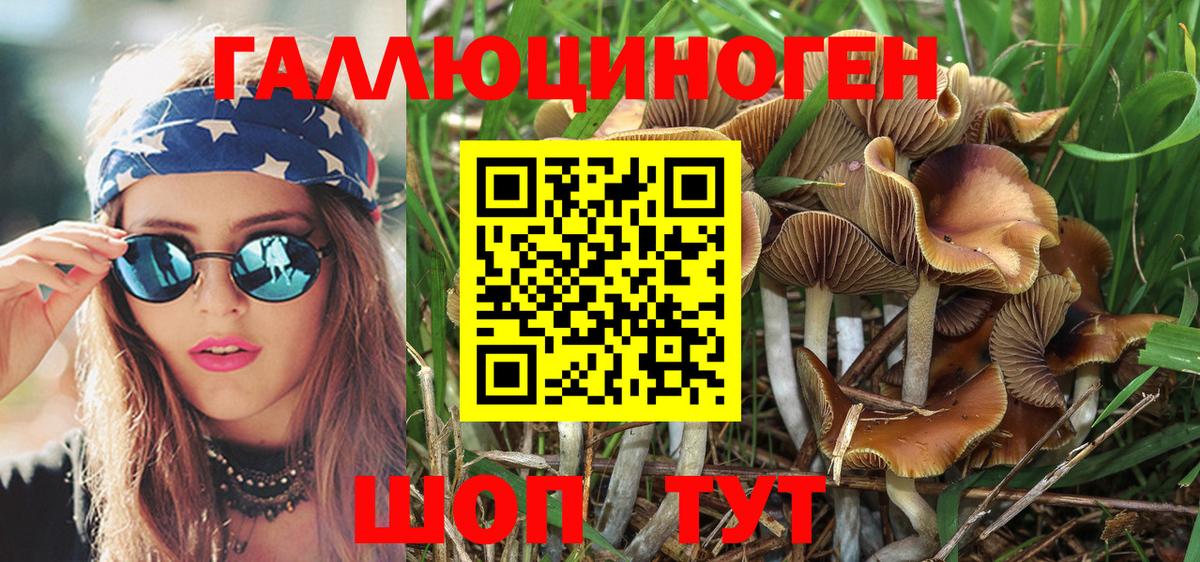 Галлюциногенные грибы Magic Shrooms  Вход с VPN  Зерноград  Галлюциногенные грибы ЛСД 